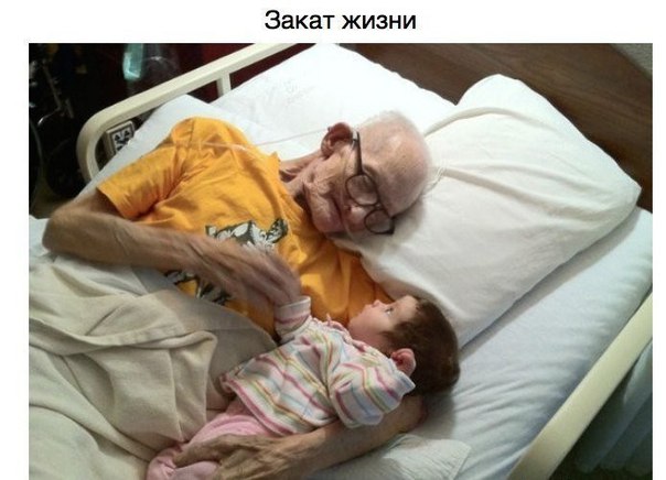 Интересные и веселые картинки