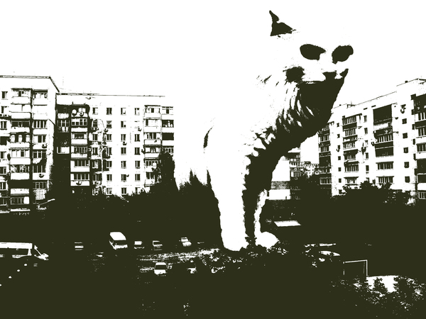 Всякое разное из интернета