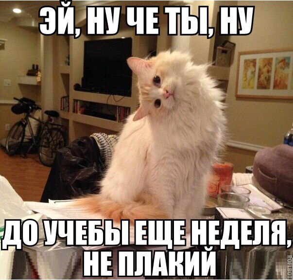 Картинки из сети