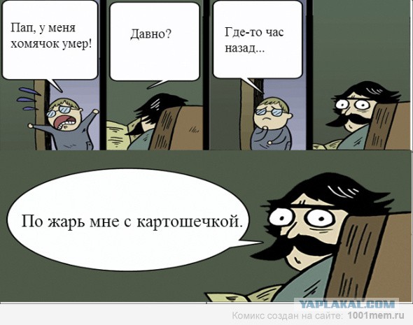 Картинки из инета