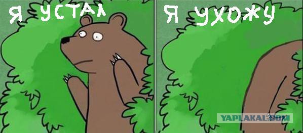 Житель Краснодара случайно снял жену с любовником, решив проследить за сыном