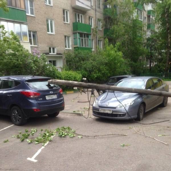 Смешные картинки