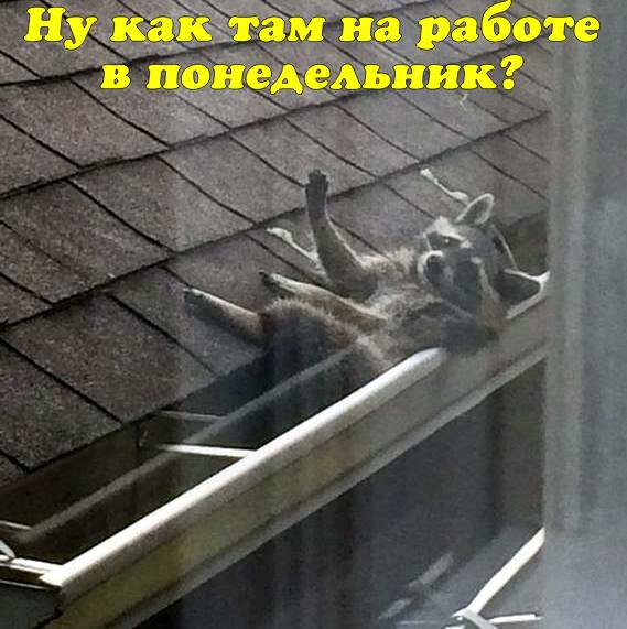 Картинки все подряд