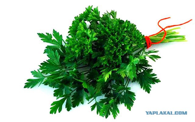 Как советский катер потопил четыре эритрейских катера,бой в Красном море  27.05.1990