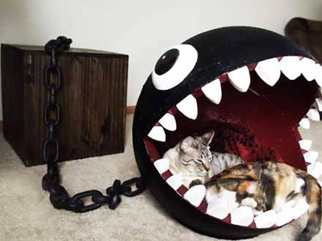 Коты и Кошки