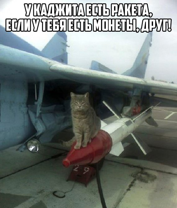 Околоигровой юмор