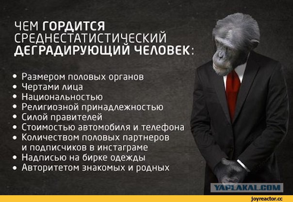 Три человека погибли в результате перестрелки в ресторане в Армавире