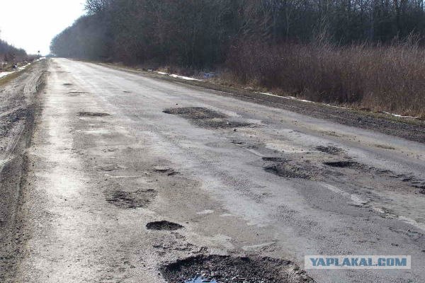 Дождевые черви уничтожают асфальт в Украине