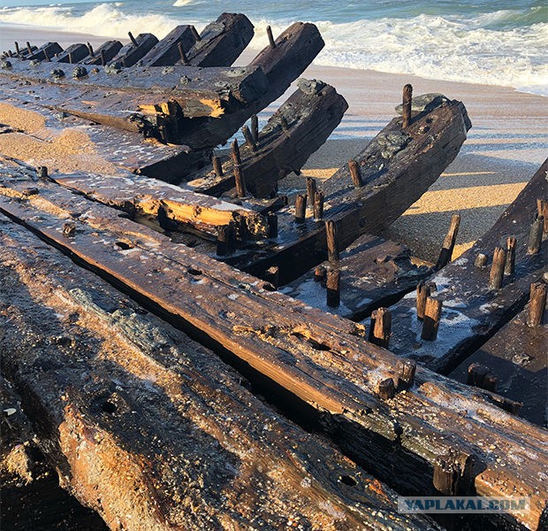Во Флориде на пляже нашли обломки корабля XVIII века