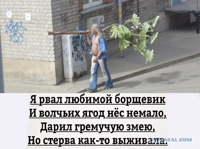 Прикольные картинки обо всем