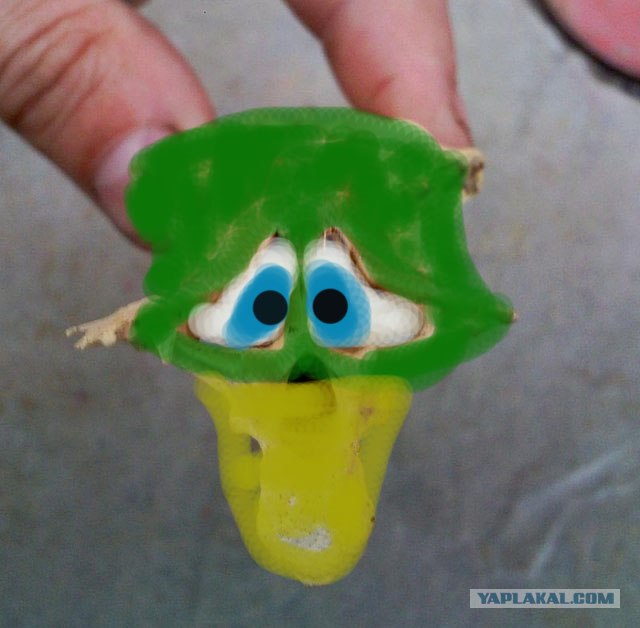 Череп неведомого существа.