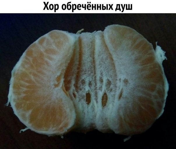 Улыбки ради
