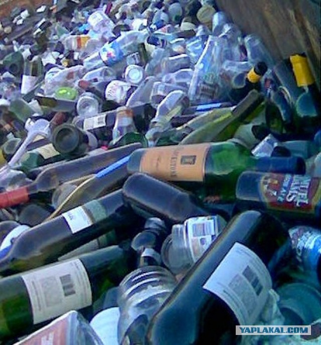 Власти предложат россиянам сдавать бутылки