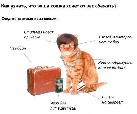 Помогите! Нашел у жены заначку!