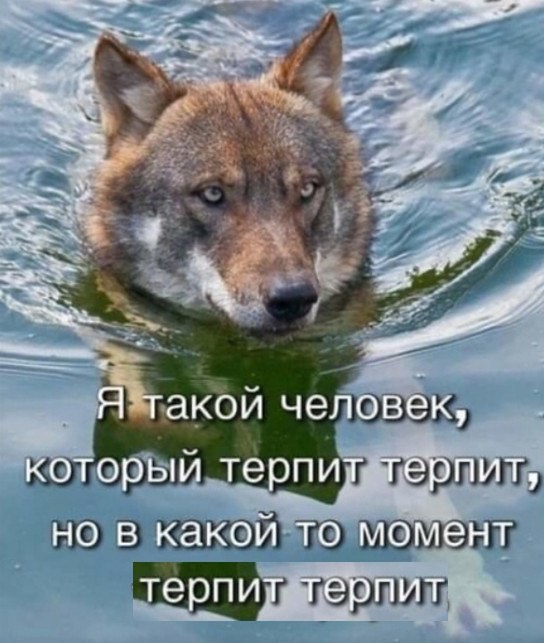 Чуток картинок (финал)