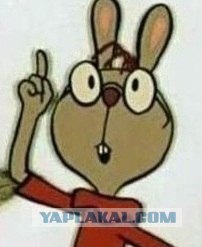 ХРОНИКИ ОККУПАЦИИ