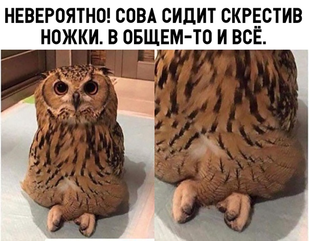 Немного картинок с надписями и без - 30