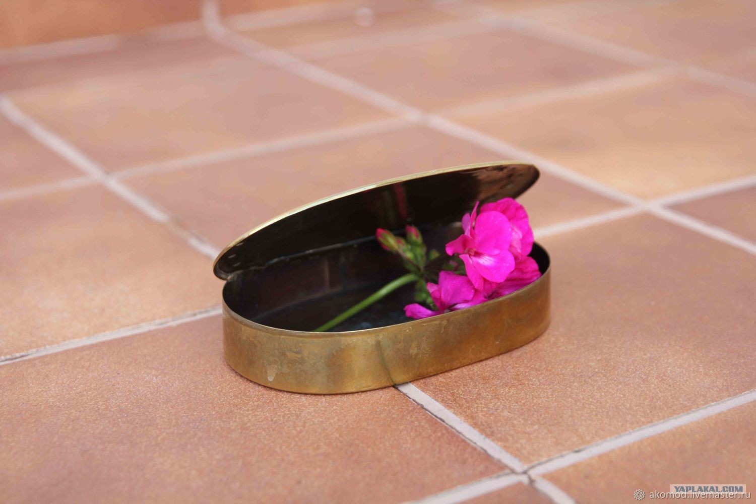 Молчаливый дворецкий что это. Смотреть фото Молчаливый дворецкий что это. Смотреть картинку Молчаливый дворецкий что это. Картинка про Молчаливый дворецкий что это. Фото Молчаливый дворецкий что это Молчаливый дворецкий что это. Смотреть фото Молчаливый дворецкий что это. Смотреть картинку Молчаливый дворецкий что это. Картинка про Молчаливый дворецкий что это. Фото Молчаливый дворецкий что это