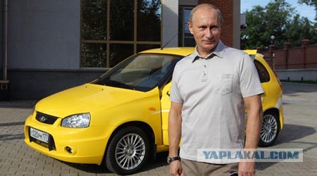 В челябинском лесу нашли десятки новых правительственных Toyota Camry