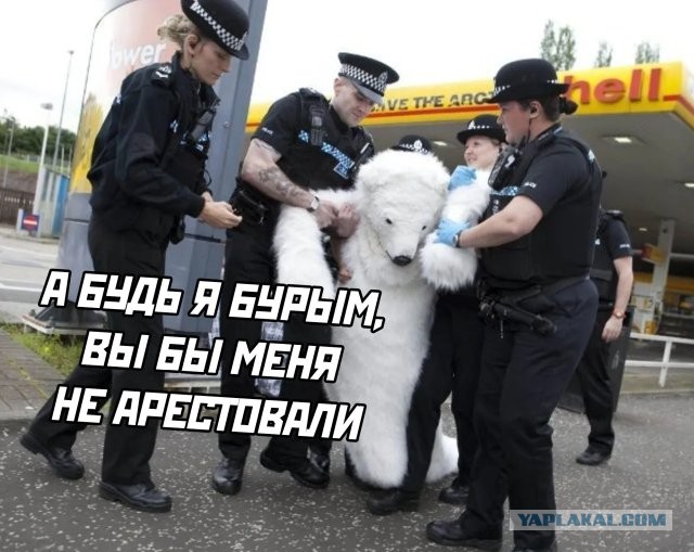 Чуток картинок 09.06.20