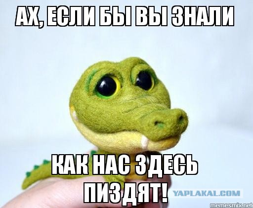 Как она это делает?