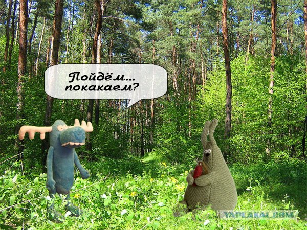 Удивительное рядом