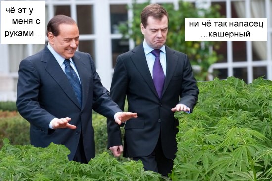 О чем разговор?
