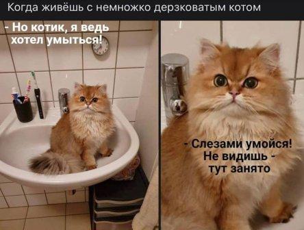 Картинки и мемы для настроения 010
