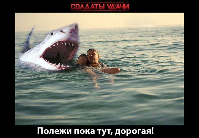 Отжабили «Солдатов удачи»