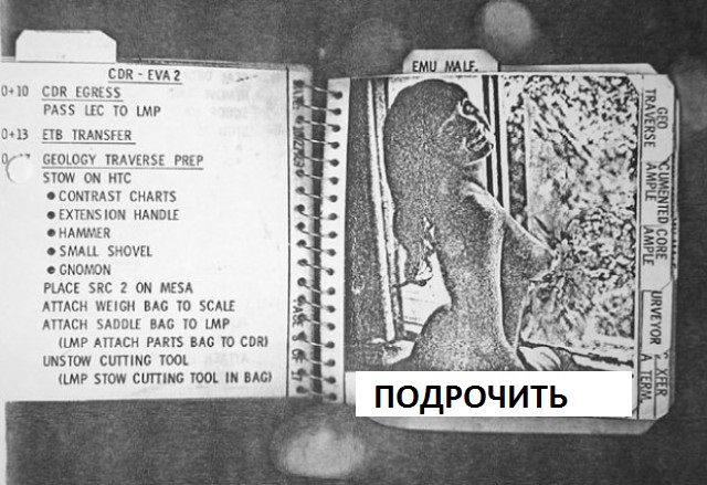 Как четыре обнаженные девушки «побывали» на Луне