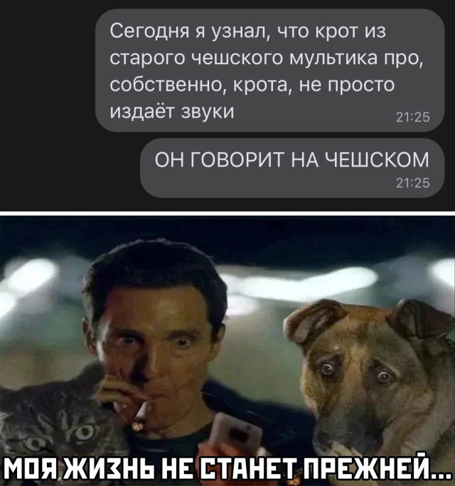 Картинки и мемы для настроения