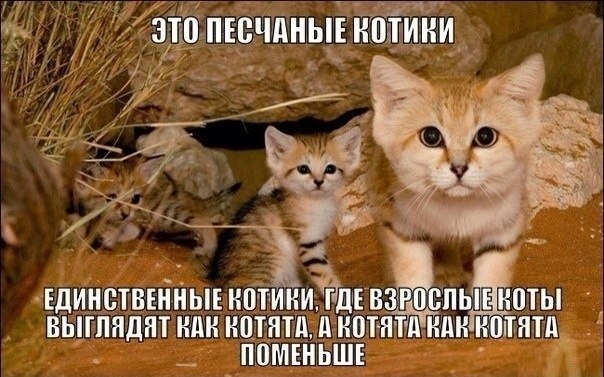 Так себе картинки 28.03.21