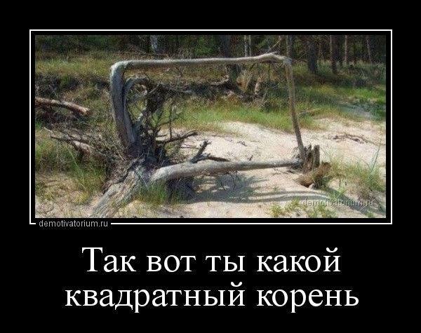 Картинки с надписями и всякие жизненные фразы 07.05.2021