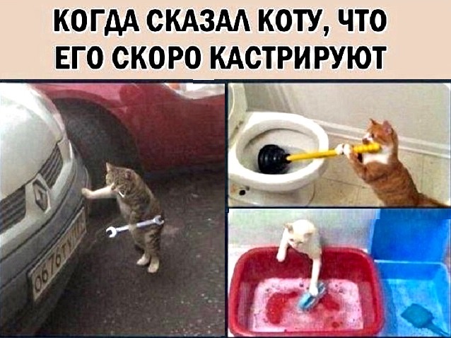 Интимная тема. Про неё