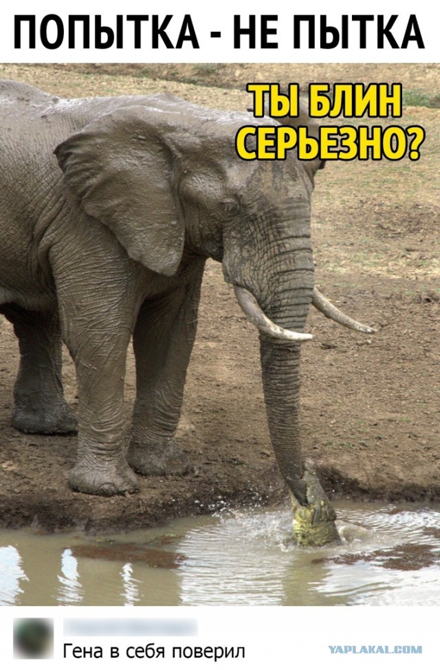 Так себе картинки 16.06.21