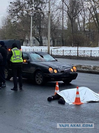 В Ленинградской области сестра в погибшего в ДТП пытается привлечь к ответственности бизнес-тренера Ларису Курилец