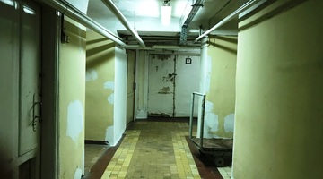 Эволюция Гинцбурга