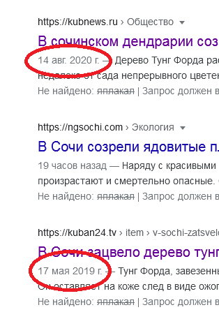 В сочинском парке "Дендрарий" созрели смертельно опасные плоды тунга Форда. Противоядия против этого фрукта не существует