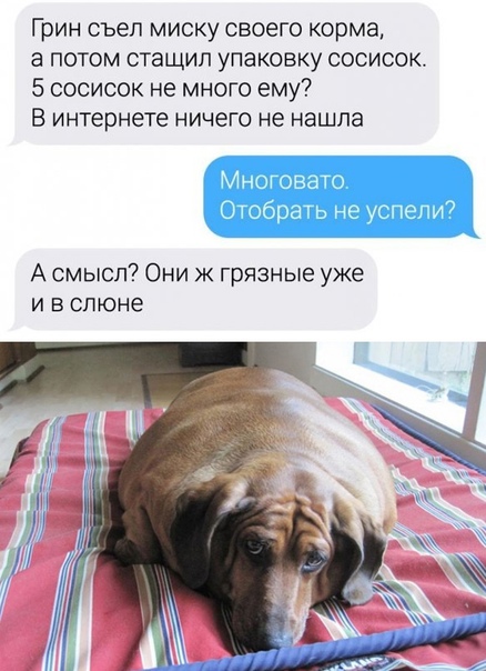 Картинки и мемы для настроения 18.08.2021