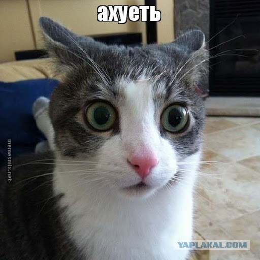 Свято место пусто не бывает