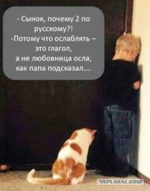 Боян на Бояне...
