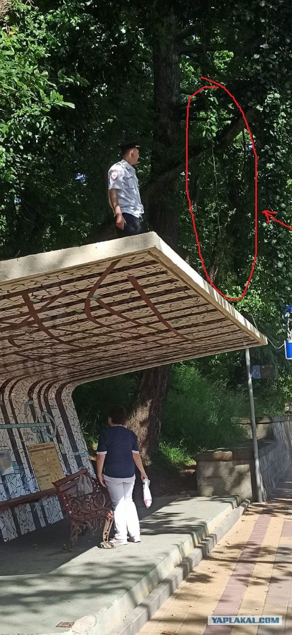 Буквально...