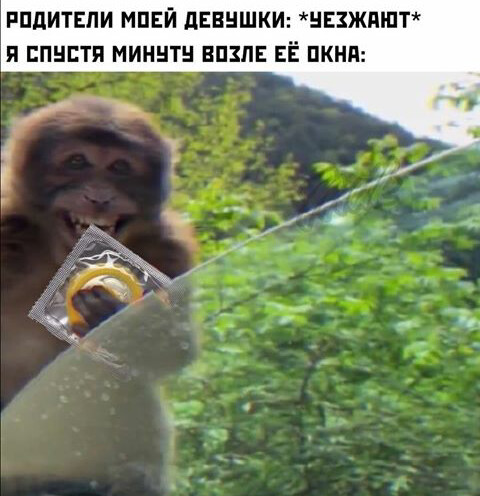 Весёлый полтишок 14.06.22