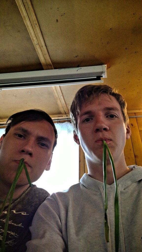 Все хотели, чтобы было смешно, но не у всех получилось