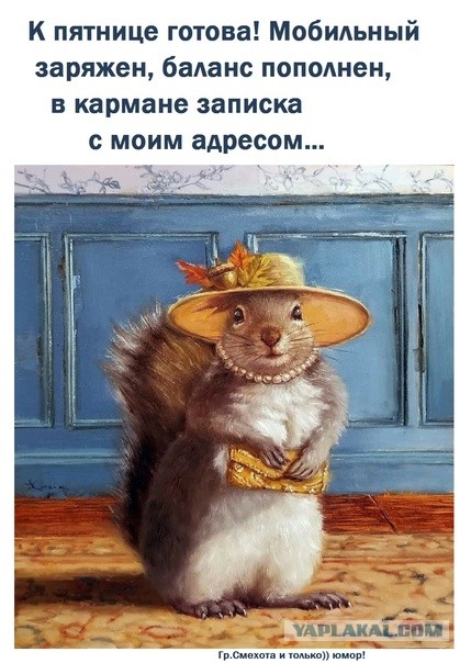 Мужчина глазами современных женщин
