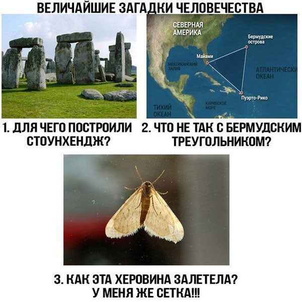Так себе картинки 10.09.22