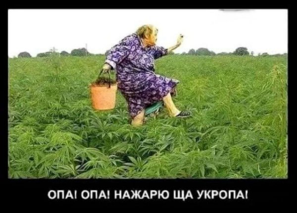 Прикольные и просто красивые картинки 04.11.2022