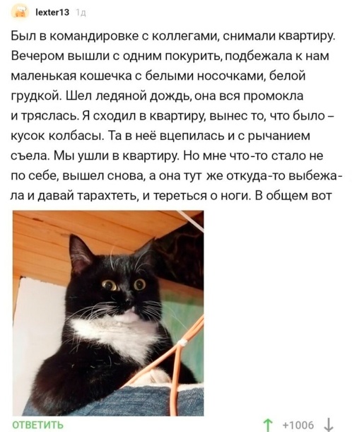 Немного картинок для взрослых 13.11.22