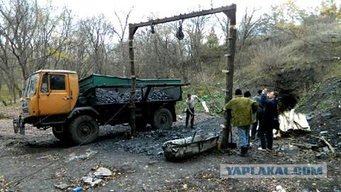 Житница, вольница, кладовая чёрного золота...