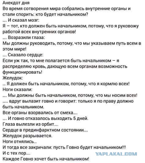 Елена Драпеко в интервью Манучарову предлагает «заканчивать» с демократией и толерантностью в РФ